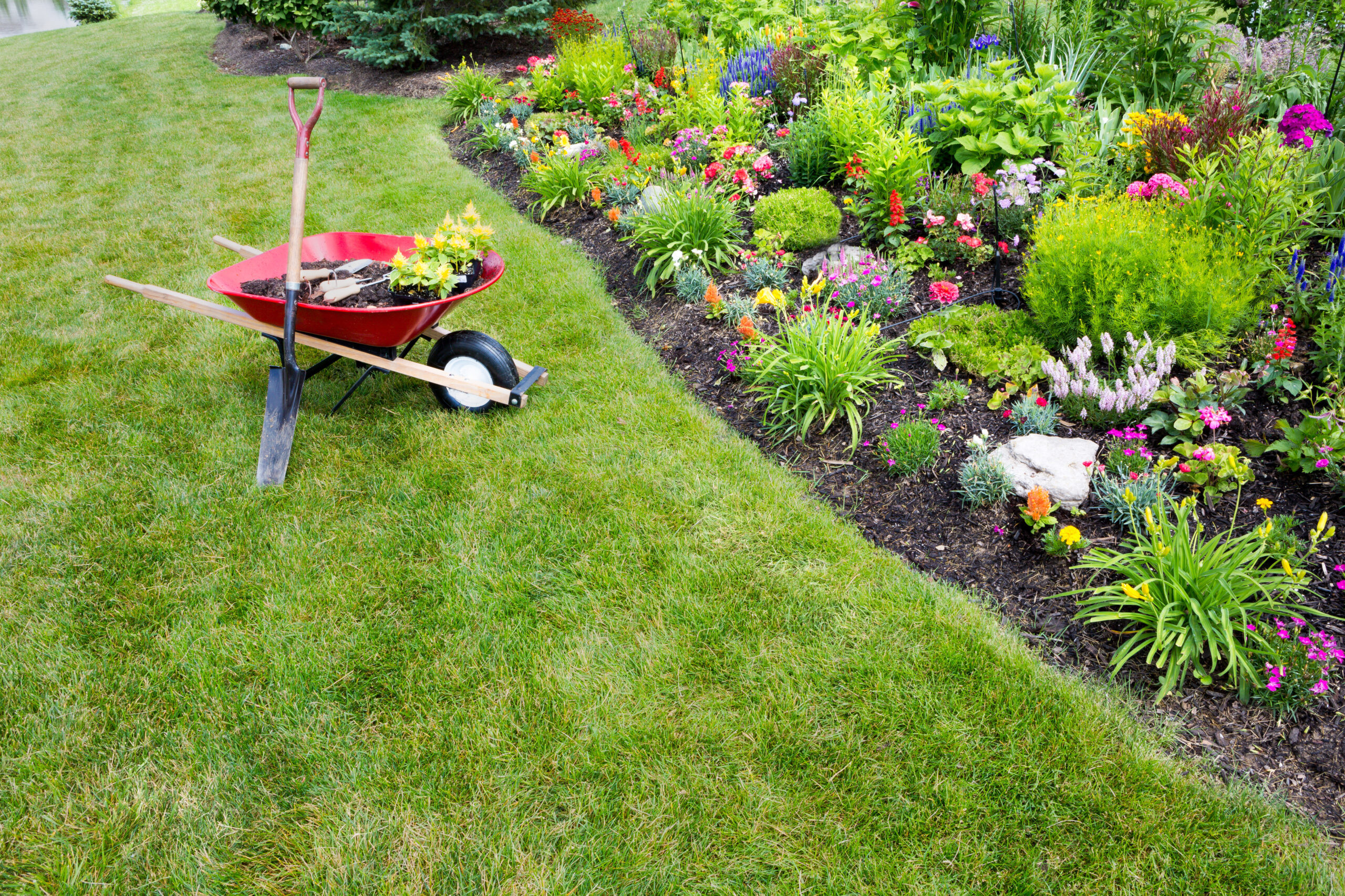 lawn care website design faq page header image