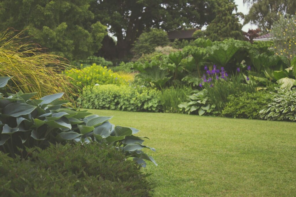 A green beautiful lawn that is perfectly landscaped