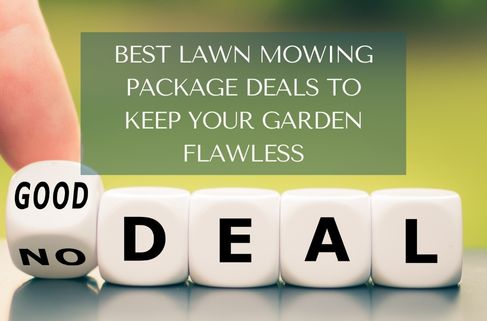 Best Lawn Mowing Package Deals to Keep Your Garden Flawless