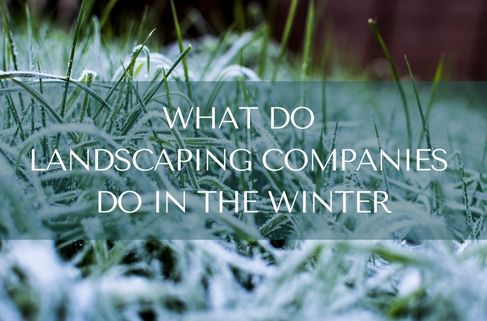 what do landscaping companies do in the winter